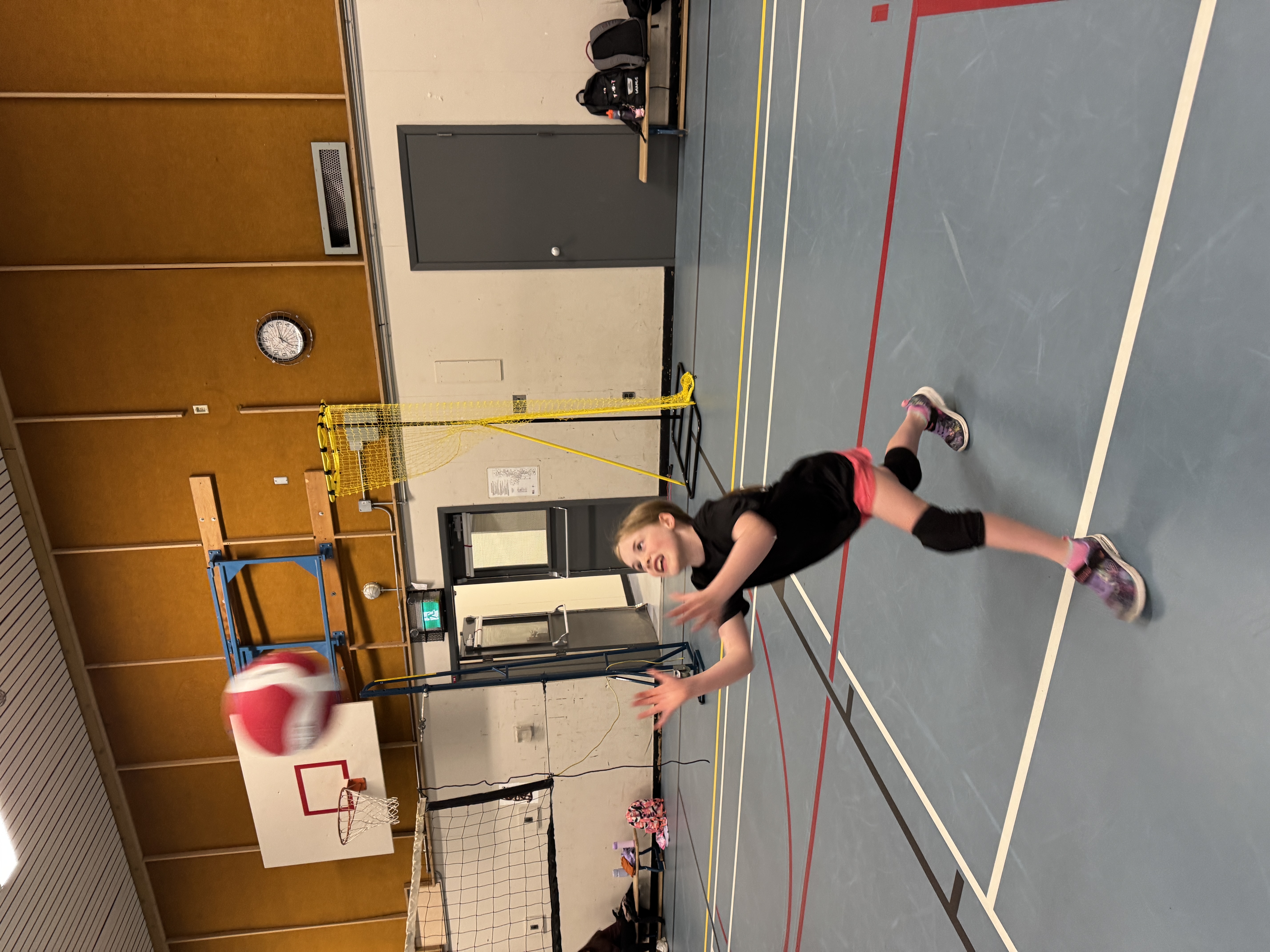 Volleyball session in the gym