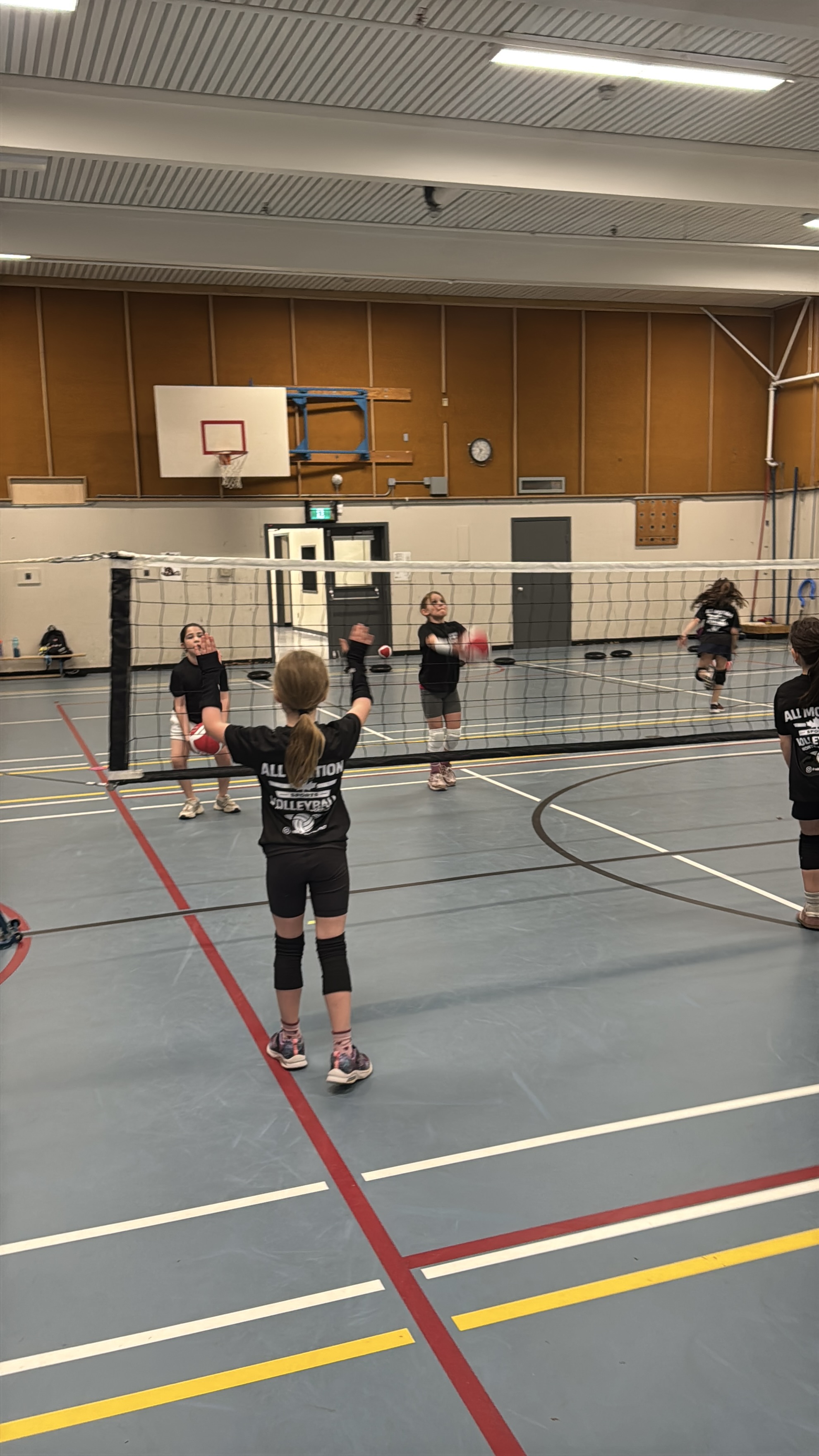 Athletes in action on the volleyball court